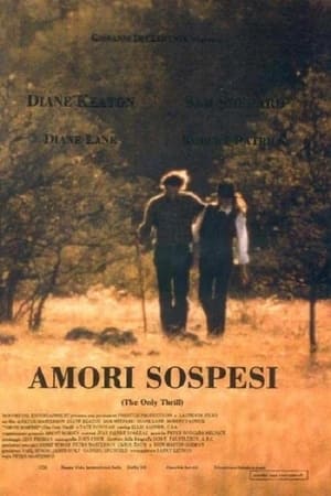 Poster Amori sospesi 1997