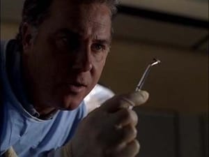 CSI – Scena del crimine 1 x 10