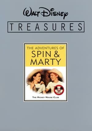 Walt Disney Treasures - The Adventures of Spin & Marty poster