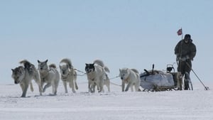 poster Blizzard: Race to the Pole