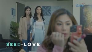 The Seed of Love: Season 1 Full Episode 16