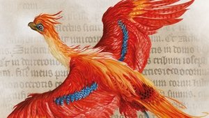 Harry Potter: A History Of Magic