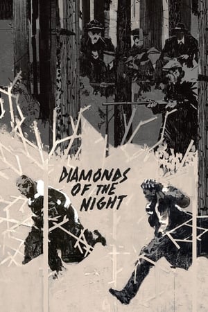 Poster Diamonds of the Night (1964)