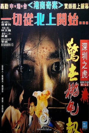Poster 深圳之虎：驚世桃色劫 1995