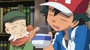 S18E10 Une Arène végétale pour des Pokémon Plante !