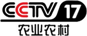 CCTV-17