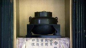 Japanology Plus: 11×17