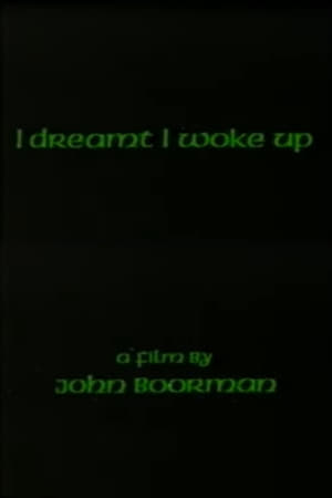 I Dreamt I Woke Up poster