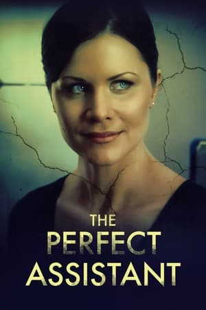 Poster The Perfect Assistant 2008