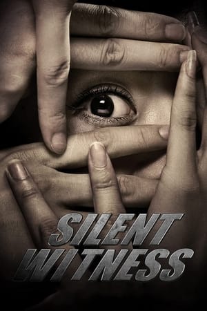 Poster Silent Witness (2013)