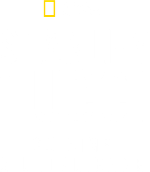 Tucci en Italia — Logos 7