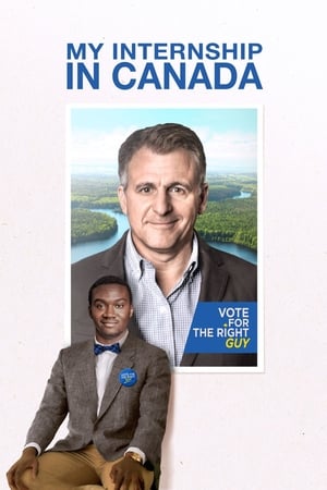 Poster My Internship in Canada (2015)