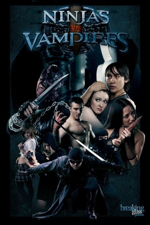 Poster Ninjas vs. Vampires 2010