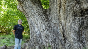Ancient Trees of Iran 1