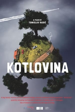 Poster Kotlovina (2011)