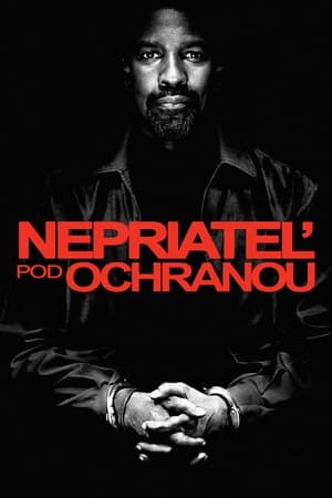 Poster Nepriateľ pod ochranou 2012