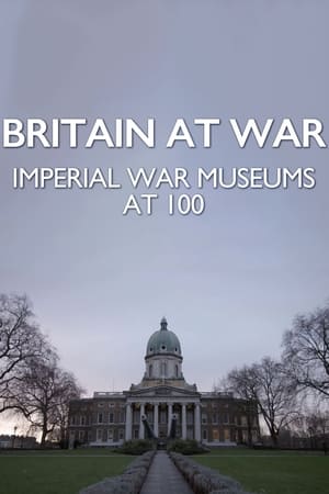 浴血大英帝国 帝国战争博物馆100周年 2017