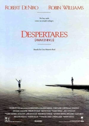 Poster Despertares 1990