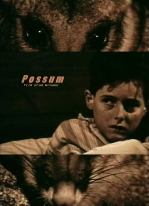 Poster Possum (1997)