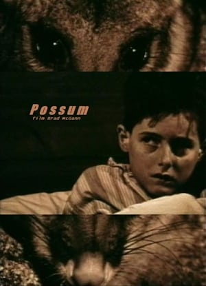 Image Possum