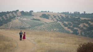 La boda de mi ex HD 1080p, español latino, 2017