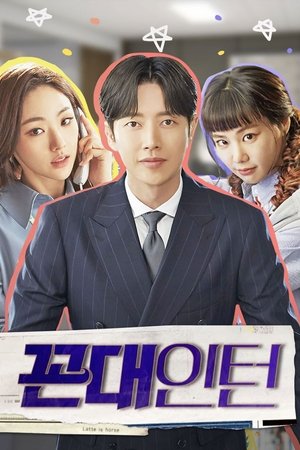 Nonton Drama Korea Old School Intern (2020)