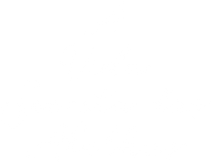 A Vida Secreta das Abelhas