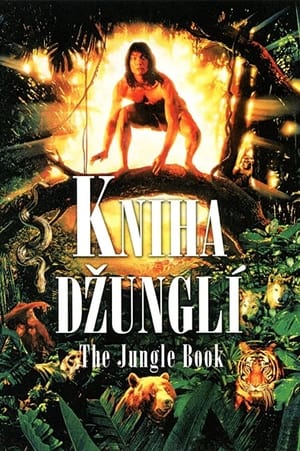 Image Nová Kniha džunglí