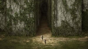 Maze Runner: El corredor del laberinto