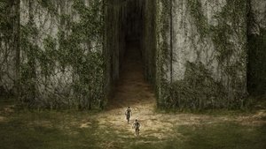 Maze Runner Correr o Morir Película Completa HD 1080p [MEGA] [LATINO]