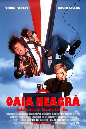 Image Oaia neagra
