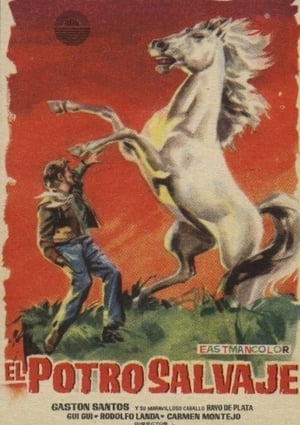 Poster El potro salvaje 1958