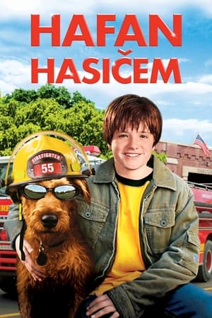 Poster Hafan hasičem 2007