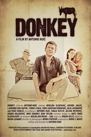 Donkey poster