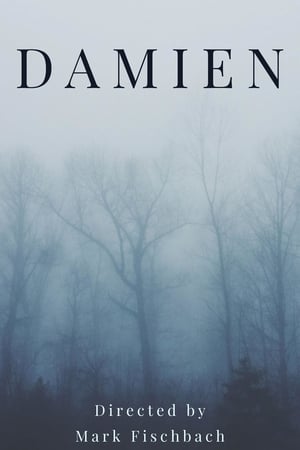 Poster DAMIEN 2019