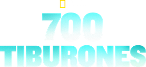 700 Tiburones — Logos 4