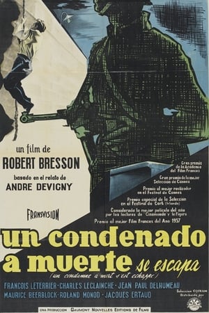 Poster Un condenado a muerte se ha escapado 1956