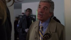 Law & Order: 16×10