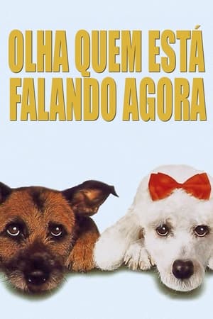 Olha Quem Fala Agora! 1993