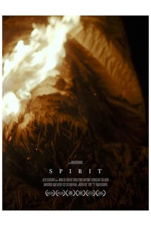 Poster di Spirit