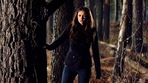 Vampire Diaries: 1×17