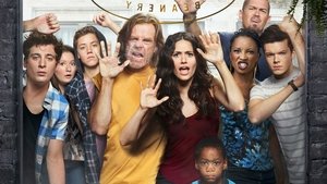 poster Shameless