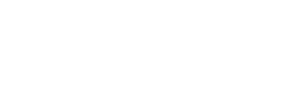 French Connection - Saga