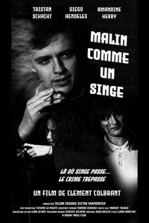 Malin comme un singe 2
