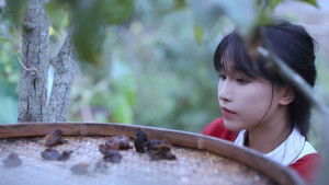 Episode 26 | StreamHub