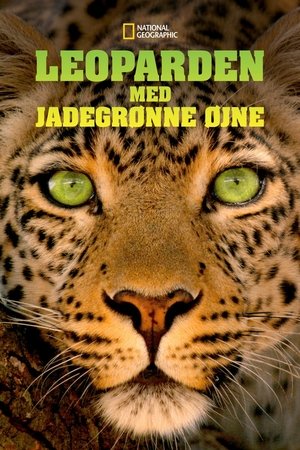 Poster Jade Eyed Leopard 2020