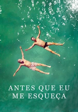 Poster Antes Que Eu Me Esqueça (2017)