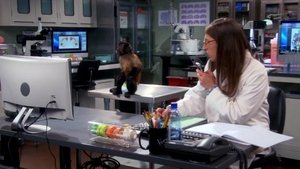 The Big Bang Theory: Stagione 7 x Episodio 5