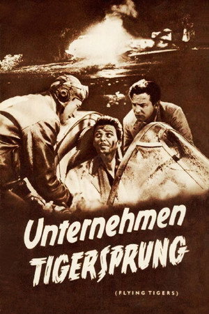 Flying Tigers 14