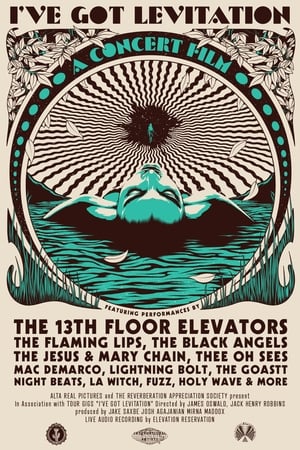 Poster I've Got Levitation 2018